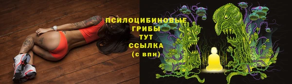 молекула духа Дмитровск