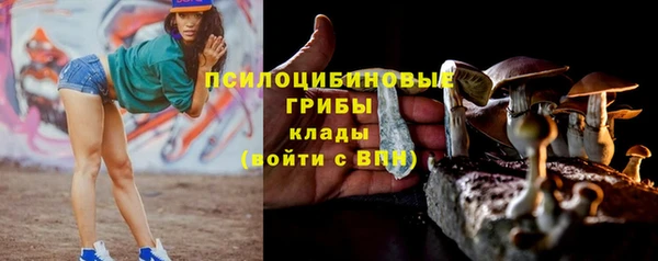синтетический гашиш Дмитриев