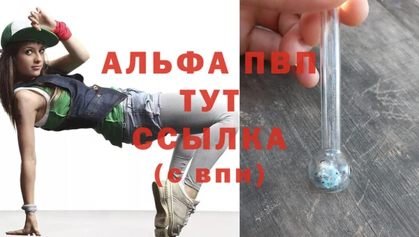 твердый Дмитров