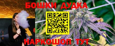 соль ск Сланцы